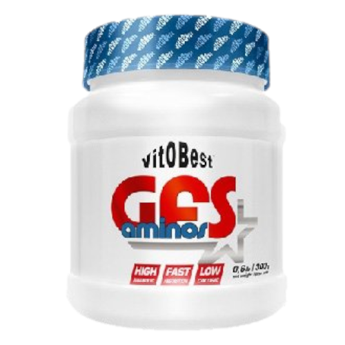 GFS Aminos (Polvo)